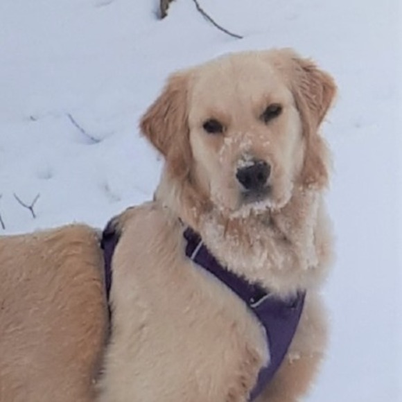 Meet your Posher, Mary - Picture 1 of 1